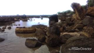 Ranca buaya hits