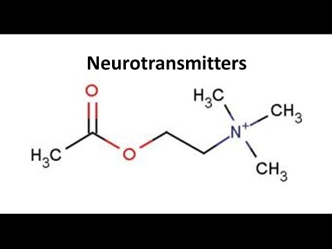 ვიდეო: სად ხდება ქიმიური ნეიროტრანსმისია?