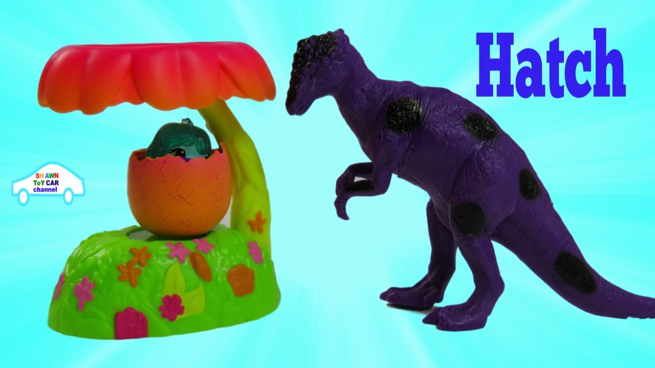dinosaur hatchimal