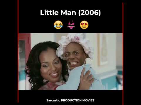 Little Man (2006) Movies Explanation In Hindi Dubbed ||#dubbedmovies #movieees #hollywood #webseries