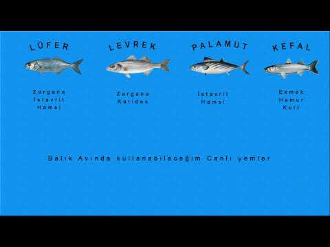Balık Canlı Yem