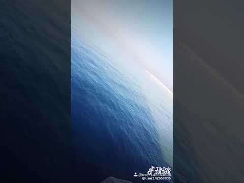 صوت الحوت الازرق تصوير حقيقي