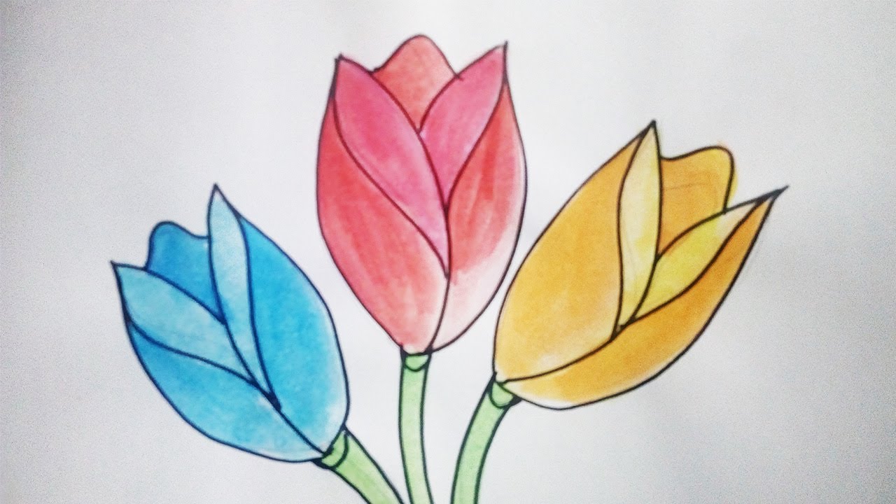 Menggambar Bunga Tulip Sederhana Dan Mudahlearning To Draw Tulips Is