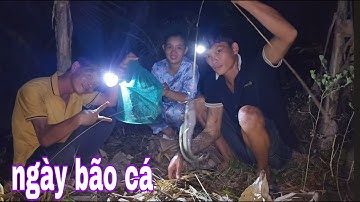 Đợi Trời Mưa Đi Cắm Câu Cá Lóc Cá Dính Câu Gỡ Không Kịp Luôn # SĂN BẮT ĐỒNG THÁP #