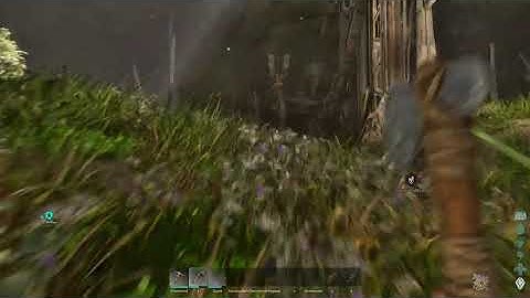 2024 - ARK Survival ASCEND - Abberation - Bug Invisible Stone