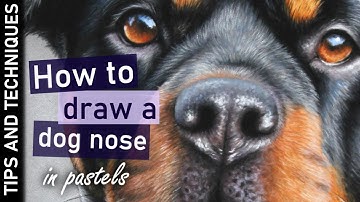 How to draw a dog nose with pastel pencils | Rottweiler drawing