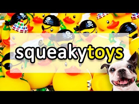 dog squeaky ball noise