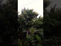 well nothing just random