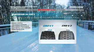 Bridgestone Blizzak DM V2