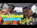 Sugarcane Mukbang with  Funnymike ! (how we met)