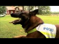 SPECIAL - Blåljus Östergötland hos polisens hundenhet