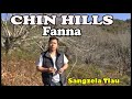 Chin hills fanna sangzela tlau tourne au myanmar 3