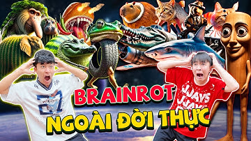 Anh Tóc Xoăn Bị Sinh Vật Vũ Trụ Italian Brainrot Nhập - Khi Bạn Xem Brainrot Quá 999+ Phút