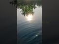 Sun reflect in water