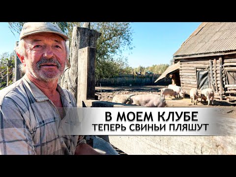 НЕОБЫЧНАЯ ДЕРЕВНЯ-ФЕРМА. Брянская область; д. Подосинки; д. Рёвны