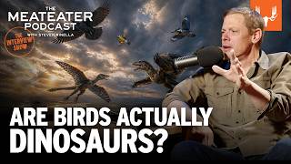 Are Birds Actually Dinosaurs? | The MeatEater Podcast Ep. 871