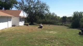 6185 Noyes Rd video tour
