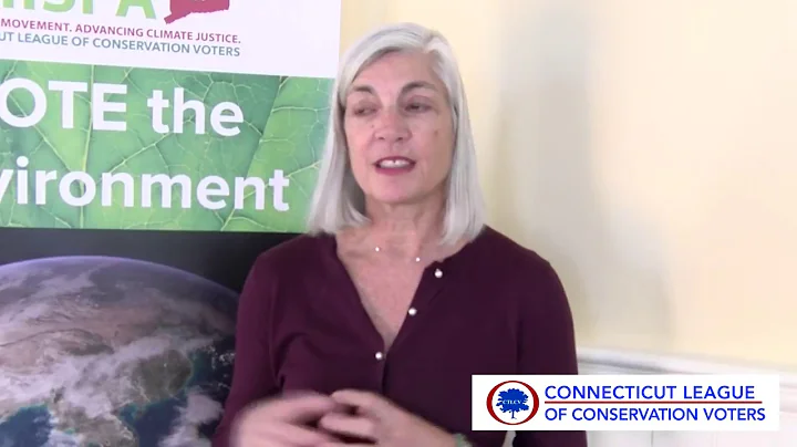 CTLCV 2018 Environmental Summit: Mary Hogue