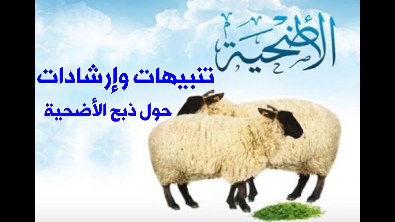 تنبيهات وإرشادات حول ذبح الأضحية