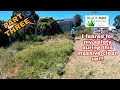 Tall grass cutting - Satisfying edging / overgrown cleanup PART THREE!