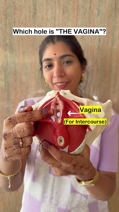 Which hole is the 'VAGINA' ?