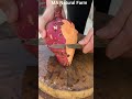 Sweet Potato Cutting #vegetable #cuttingskills #asmr #shorts  #viral #satisfying #farming #fruit