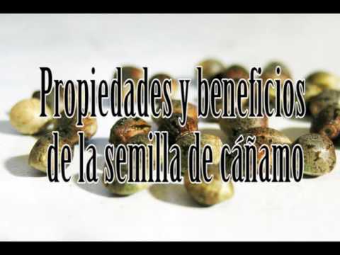 Vídeo: Beneficios Del Aceite De Cáñamo: Para Inflamación, Piel, Síndrome Premenstrual Y Menopausia