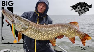 Pike in a feeding frenzy // The Fat Lui from Monkey Lures put to the test // Fishing with predato... screenshot 3