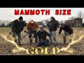 Field of Monsters! - Metal Detecting Strikes Colossal SILVER & Mammoth Size GOLD!