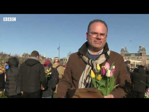 National Tulip Day takes place in the Netherlands