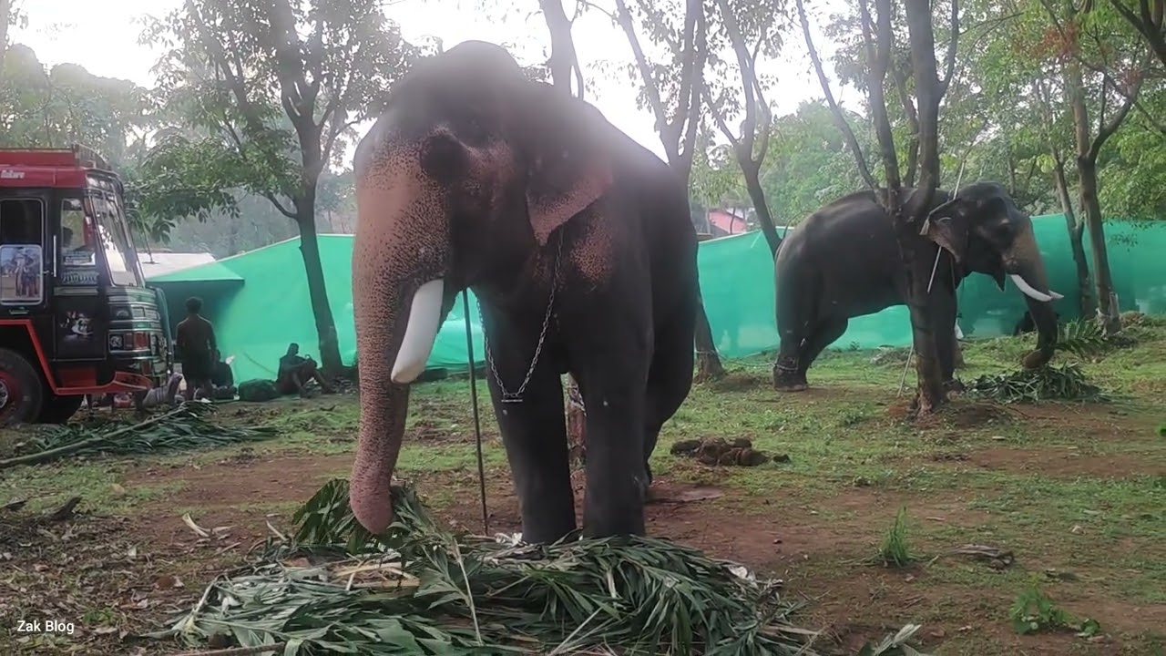 Ukkens Kunju | ആര്യമുഖചക്രവർത്തി ഊക്കൻസ് കുഞ്ചു