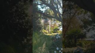Tour CHANTICLEER GARDEN #garden #gardening #gardentour
