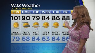 Meg McNamara Has Your Updated Forecast