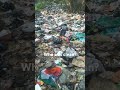 Who will clean?