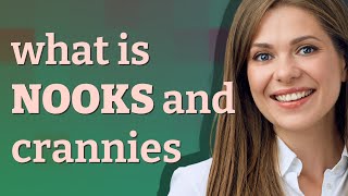 Nooks and crannies | meaning of Nooks and crannies