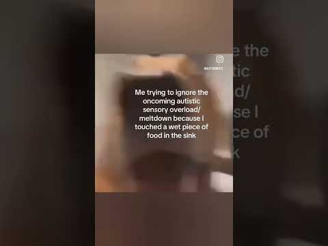 Real Socialmediaapp Fypp Reels Instagram Dog Memes Viralvideo Trendingshorts