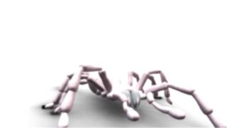 Spider Walk Cycle Animation