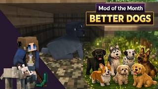 Minecraft Better Dogs Resource Pack Review | Mod of the Month That Isn’t a Mod screenshot 1