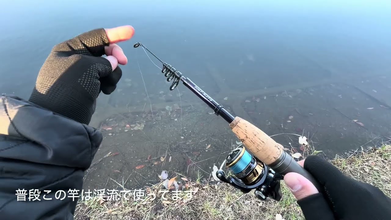 エリアトラウト　ダイワ縛り　2025.12.16