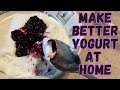 Easy 2 Ingredient Homemade Yogurt Recipe