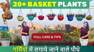 20+ Summers Baskets permanents Hardy Plants/ पूरी गर्मी भर हरे भरे  रहेंगे तुरंत इनकी कटिंग्स ले आए by Garden of Kavita 4,018 views 2 months ago 21 minutes