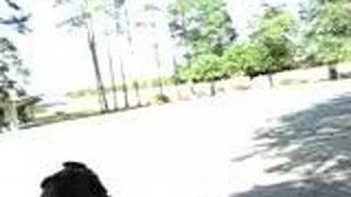 georgia rest stop