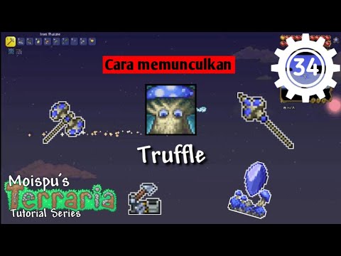 Video: Bagaimana Menemukan Truffle?