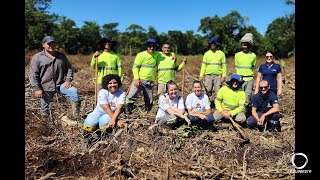 Portos do Paraná começa plantio de mudas de árvores...