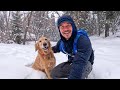 Hiking with nala during a winter storm it was beautiful