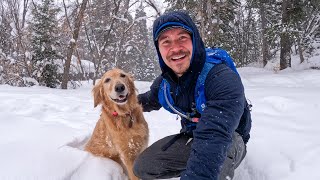 Hiking with Nala during a winter storm (it was beautiful!)