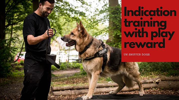 KONG building Indication with Play