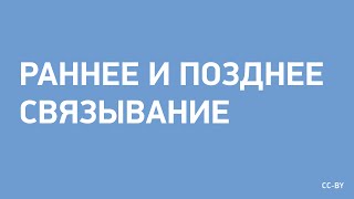 Раннее и Позднее Связывание Раннее и Позднее Связывание