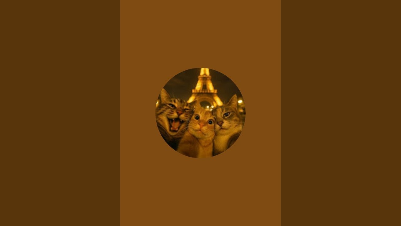 Huzur kanalı canlı yayında