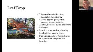 The Naturalist Exchange Introduction to Winter Dormancy in Trees 12 14 20